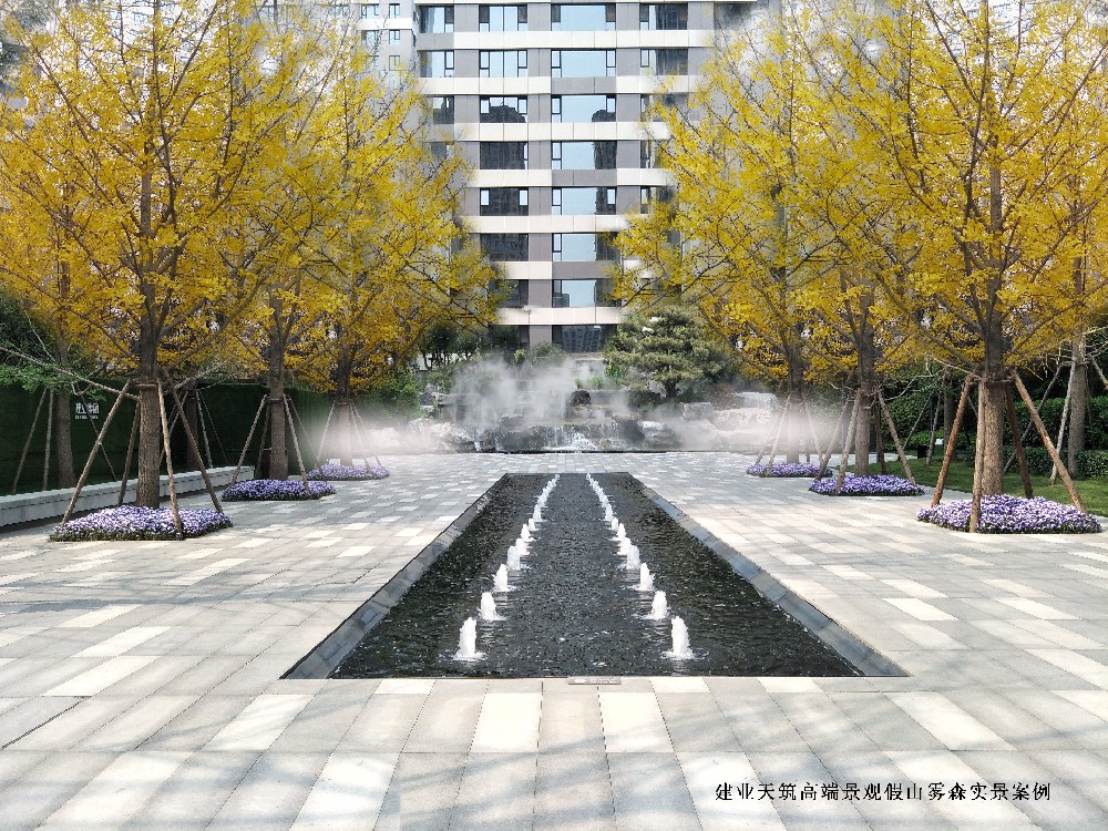 建业天筑假山雾森